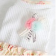 Petstyle spring and summer new floral dress small fresh dress dog clothes cat skirt