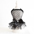 Petstyle spring and summer new perspective mesh gauze skirt sexy dress dog clothes cat skirt