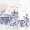 Petstyle spring and summer new stars fake two-piece strap skirt cute dress dog clothes cat