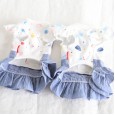 Petstyle spring and summer new cherry pendant imitation denim skirt sweet dress dog clothes cat