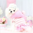 New collection Lollypop lollipop autumn and winter retro pettiskirt pet clothes dog clothing QC