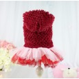 New collection Lollypop lollipop autumn and winter retro pettiskirt pet clothes dog clothing QC