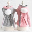 Petstyle autumn and winter new long ear rabbit sweater pet clothes dog clothing