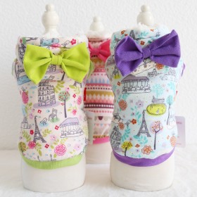 Petstyle autumn and winter new small fresh hooded coat pet clothes dog clothing