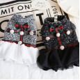 Petstyle autumn and winter gold buckle snow point gauze skirt dog clothes pet clothing English princess dress