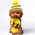 Pet dog hat scarf foot cover cat dog teddy autumn and winter clothing teddy puppies Bomei clothes accessories