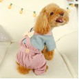 Pet clothes autumn and winter new teddy bear bear puppies cat little fairy bloomers bow cute suspenders