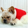 Pet clothes law fighting law bully bully clothes Coquibago pet dog dress red check big name style