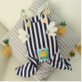 Pet dog cat autumn new dog clothes little flying chicken suspenders pants wings teddy bear