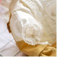 Pet dog clothes teddy bear spring and summer thin puppies chihuahua Bomei pet skirt spring button skirt