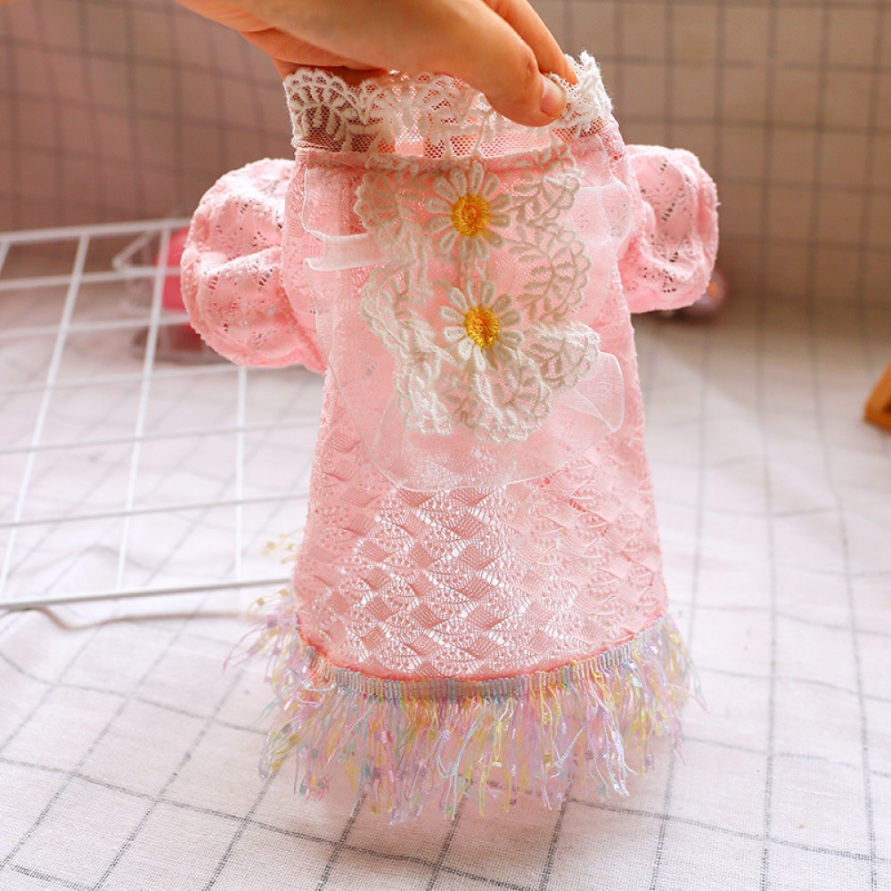 Teddy chihuahua puppies pet dog dog cat clothes early summer pink lace temperament princess skirt