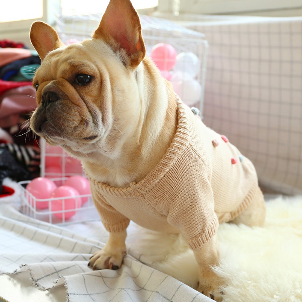 Dog clothes autumn and winter day clothes to keep warm French cow British bucket Corgi sweater two feet casual comfort law bucket pet