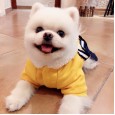 Dogs and cats clothes accessories Teddy four-legged clothes Bomei thickened chocolate small dog puppies autumn and winter clothing padded jacket