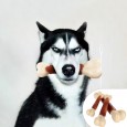 hoopet size head nylon bone solid color coated pet dog toy molar toy training interactive toy