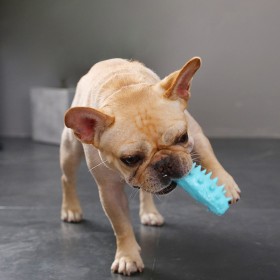 Dog bite-resistant molar stick toy bone pet chew gum