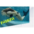 Single mermaid tail adult female swimsuit parent-child children swimsuit can be equipped with flippers