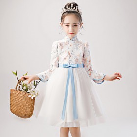 Girls pettiskirt performance clothing embroidery children's gauze skirt winter children's dress