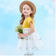 Summer new carrot embroidered mesh yarn girl dress children's clothing puffy mesh yarn princess dress